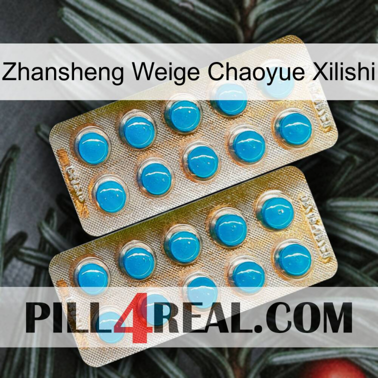 Zhansheng Weige Chaoyue Xilishi new08